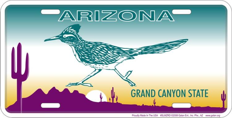Signs 4 Fun Parody License Plate - AZ – Road Runner - 12” x 6” Decorative License Plate Wall Decor - Decoration Plate Man Cave + Garage - Made in The USA
