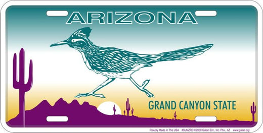 Signs 4 Fun Parody License Plate - AZ – Road Runner - 12” x 6” Decorative License Plate Wall Decor - Decoration Plate Man Cave + Garage - Made in The USA