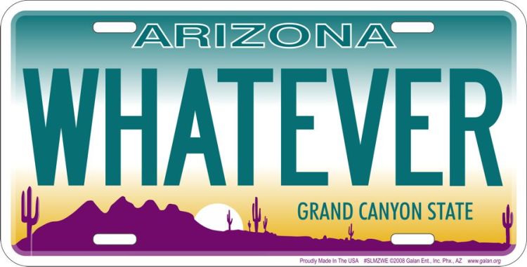 Signs 4 Fun Parody License Plate | AZ - Whatever | 12 x 6 Decorative License Plate | Decoration Plate for Vehicle/Wall | Man Cave Decorations | Made in The USA