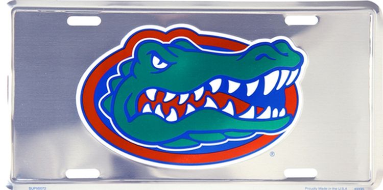 Signs 4 Fun Parody License Plate | Univ. of Florida Gators Polished | 12 x 6 Decorative License Plate | Decoration Plate for Vehicle/Wall | Man Cave Decorations | Made in the USA