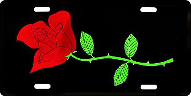 Signs 4 Fun Parody License Plate - Red Rose - 12 x 6 Decorative License Plate Wall Decor - Decoration Plate Man Cave + Garage - Made in The USA