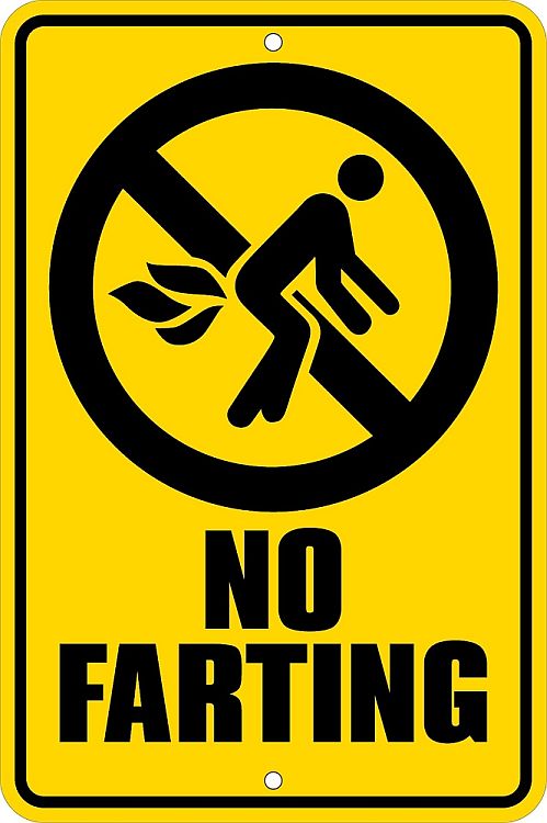 Signs 4 Fun Decorative Parking Sign | No Farting | 8 x12 | Embossed Aluminum Sign | Made in the USA | SMNF