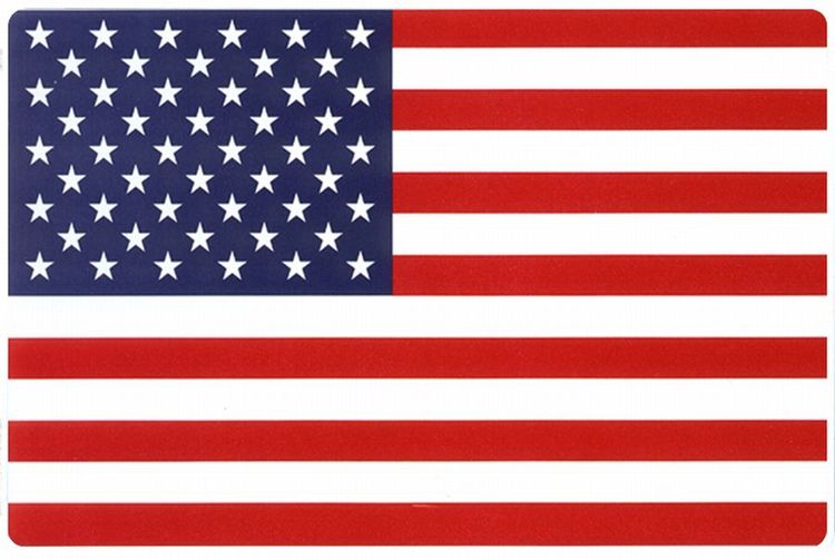 Signs 4 Fun Decorative Parking Sign | American Flag | 12 x 18 | Embossed Aluminum Sign | Made in the USA | SPF
