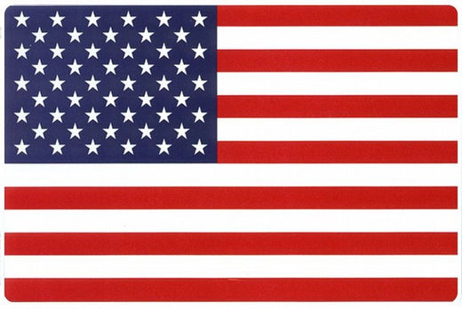 Signs 4 Fun Decorative Parking Sign | American Flag | 12 x 18 | Embossed Aluminum Sign | Made in the USA | SPF
