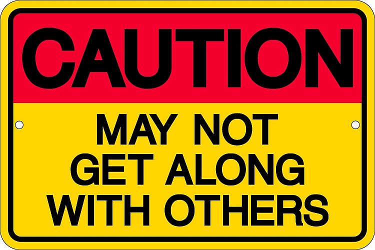 Signs 4 Fun Decorative Parking Sign | Caution: Others | 8 x 12 | Embossed Aluminum Sign | Made in the USA | SPSALNG