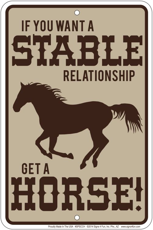 Signs 4 Fun Decorative Parking Sign | Stable Relationship | 8 x 12 | Embossed Aluminum Sign | Made in the USA | SPSCCH