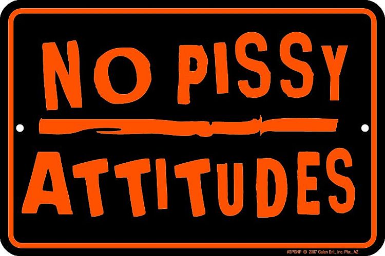 Signs 4 Fun Decorative Parking Sign | No Pissy Attitude | 8” x 12” | Embossed Aluminum Sign | Made in the USA | SPSNP