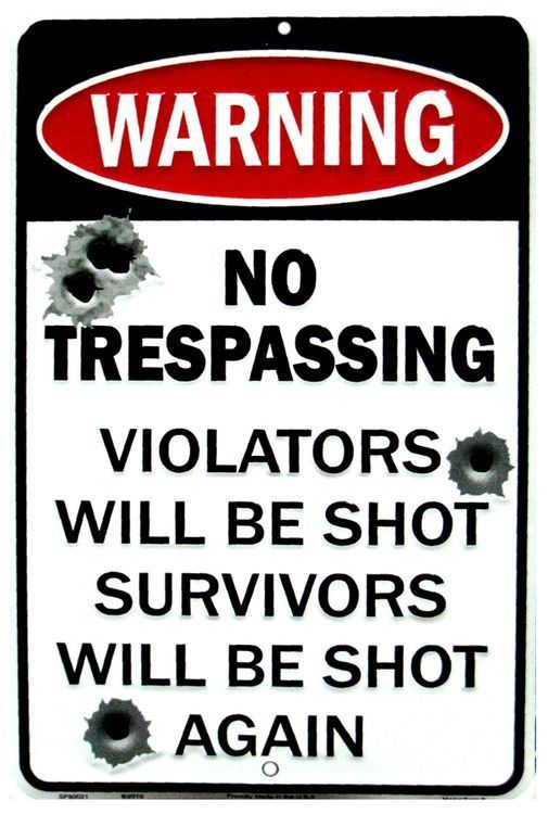 Signs 4 Fun Decorative Parking Sign | No Trespass W/Bullet | 8 x 12 | Embossed Aluminum Sign | Made in the USA | SPSNTW