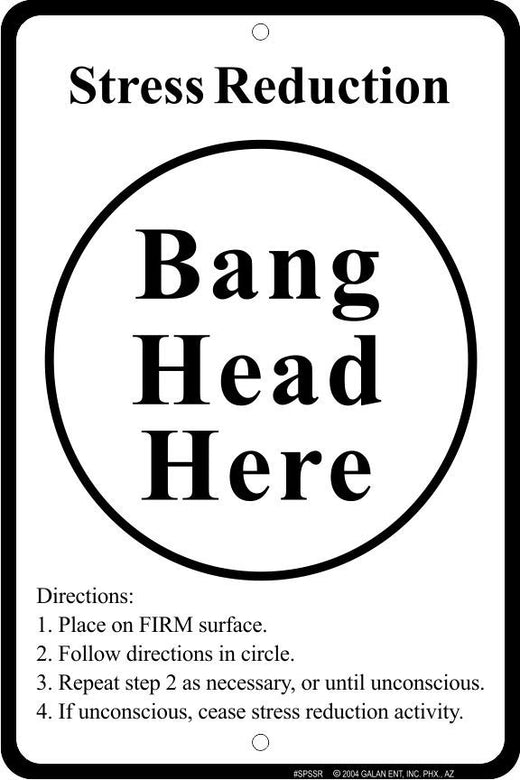 Signs 4 Fun Decorative Parking Sign | Bang Head Here | 8” x 12” | Embossed Aluminum Sign | Made in the USA | SPSSR