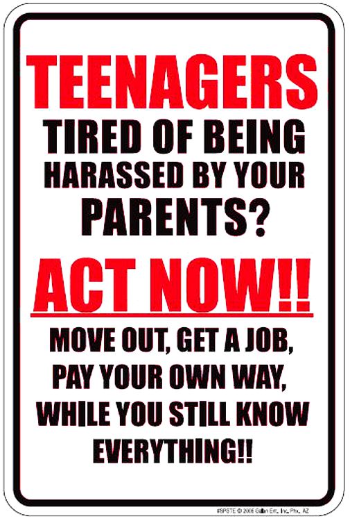 Signs 4 Fun SPSTE Teenagers, Small Parking Sign