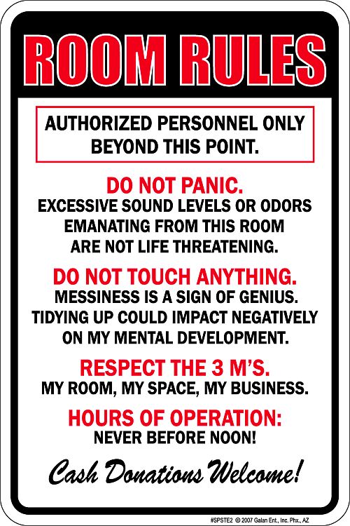 Signs 4 Fun SPSTE2 Room Rules Small Parking Sign
