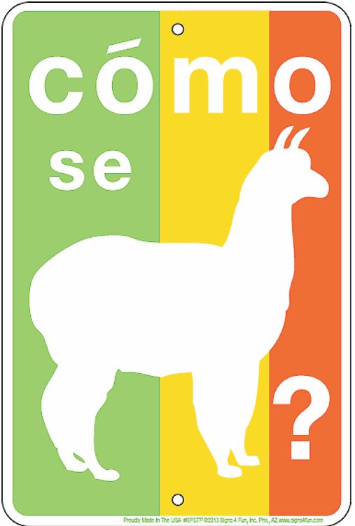 Signs 4 Fun SPSTP Como Se Llama, Small Parking Sign