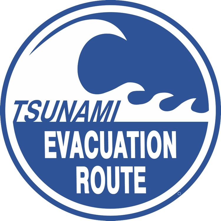Signs 4 Fun Round Sign | Tsunami Sign | 12 Diameter | Embossed Aluminum Sign | Made in the USA