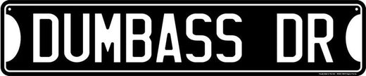 Signs 4 Fun Decorative Street Sign | Dumbass Drive | 24” x 5”