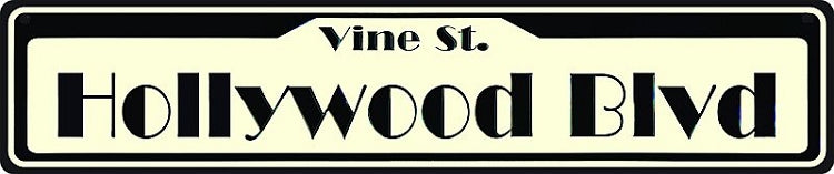 Signs 4 Fun Decorative Street Sign | Hollywood BLVD | 24 x 5 | Embossed Aluminum Sign | Made in the USA | SSH