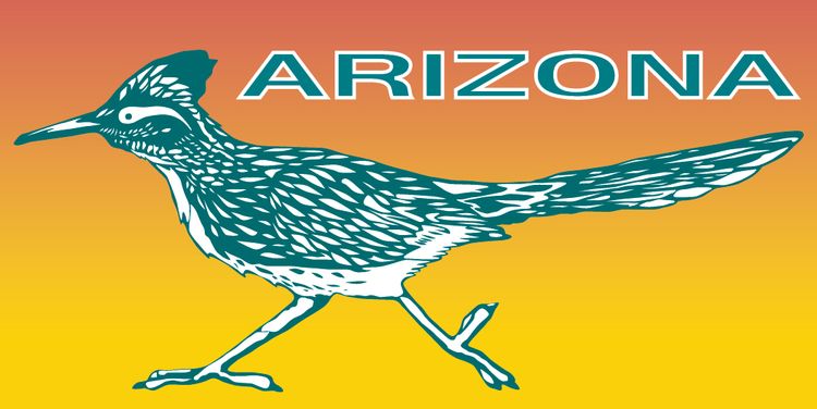 Signs 4 Fun STKAZ09 Arizona Roadrunner Lg Sticker, Orange