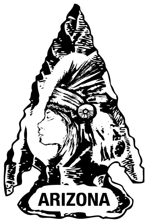Signs 4 Fun STKAZ22 Arizona Arrowhead Large Sticker, Black