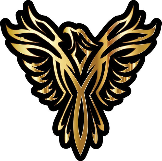 Signs 4 Fun STKAZ30 Arizona Phoenix Sticker, Yellow