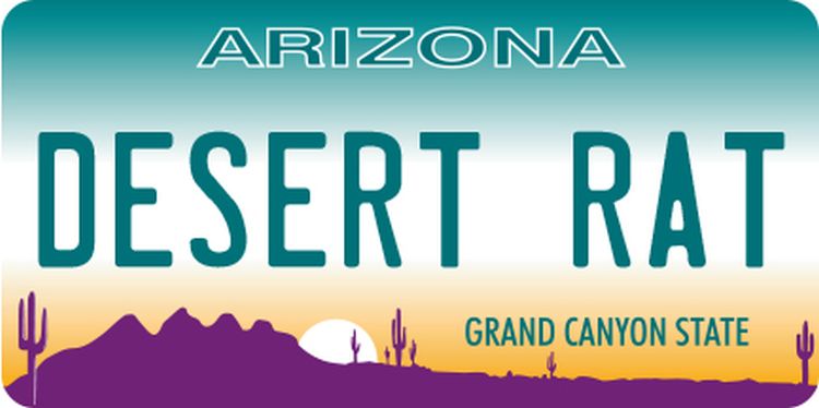 Signs 4 Fun STKAZ63 Arizona Plate Desert Rat Lg Sticker, Green