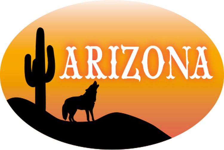 Signs 4 Fun STKAZ71 Arizona Coyote Lg Sticker, Orange