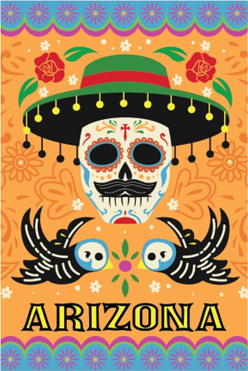 Signs 4 Fun STKAZ72 Arizona Skull with Hat Lg Sticker, Orange