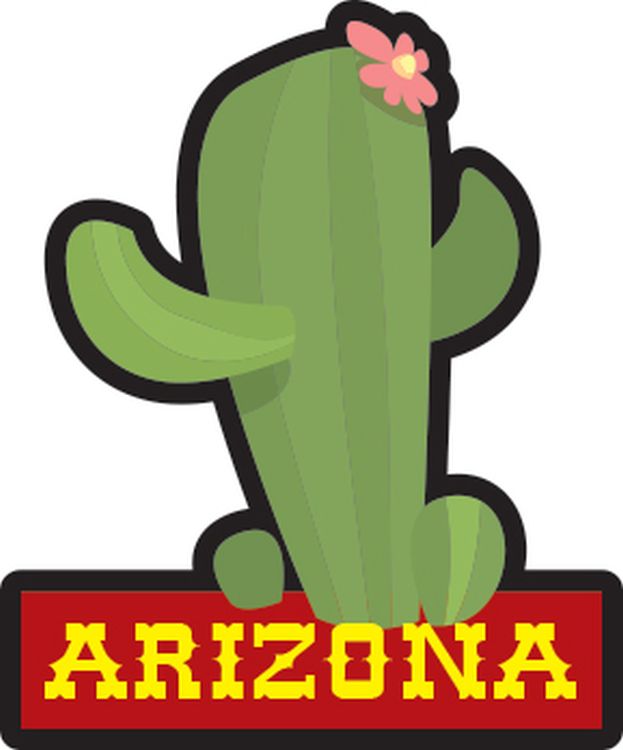 Signs 4 Fun STKAZ78 Arizona Cactus w/Bloom Lg Sticker, Green