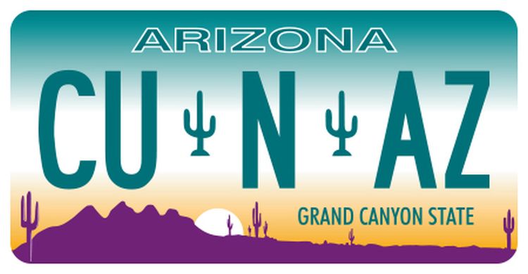 Signs 4 Fun STKAZ83 CU N Arizona Lg Sticker, Blue