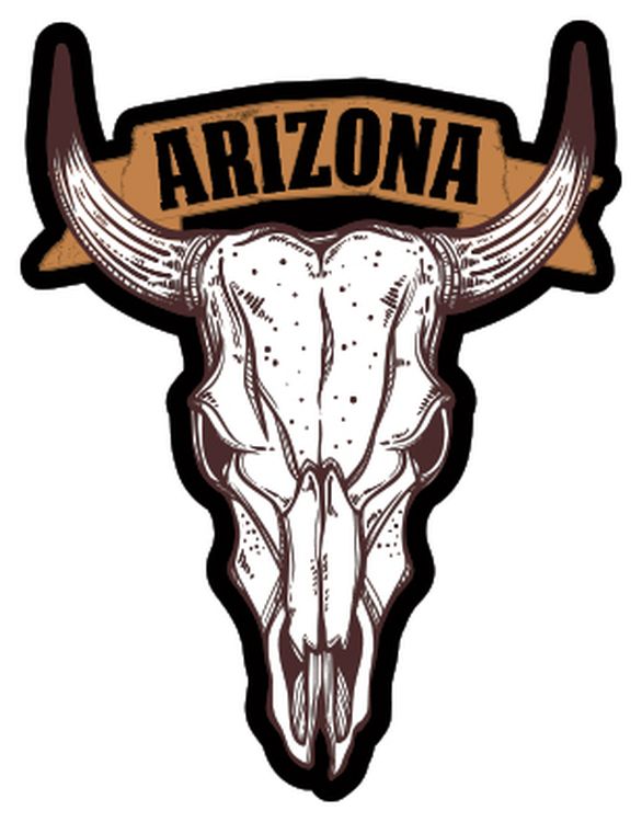 Signs 4 Fun STKAZ84 Arizona Cattle Skull Lg Sticker, Brown