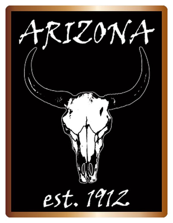 Signs 4 Fun STKAZ91 Arizona Est 1912 Skull Lg Sticker, Black