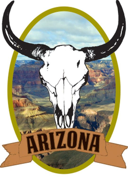 Signs 4 Fun STKAZ94 Arizona Scenic w/Skull Lg Sticker, White
