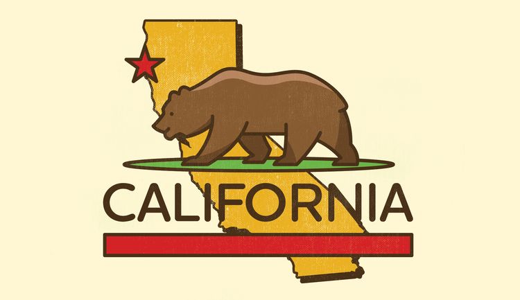 Signs 4 Fun STKCA02 CA State with Bear Sticker, Brown