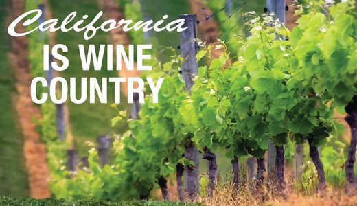 Signs 4 Fun STKCA13 CA Wine Country Sticker, Green