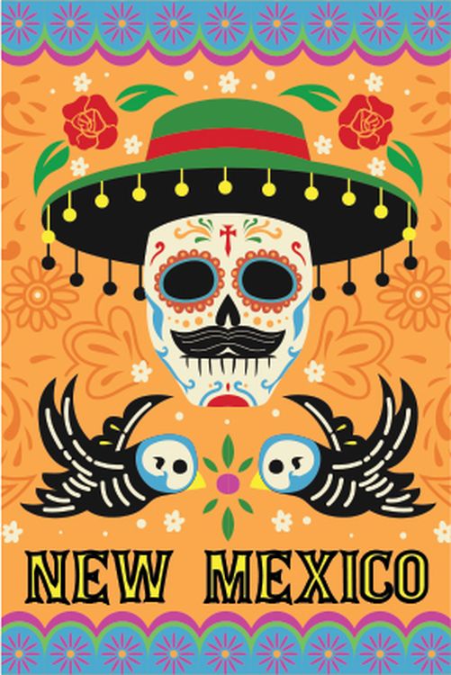Signs 4 Fun STKNM46 NM Skull with Hat Lg Sticker, Orange