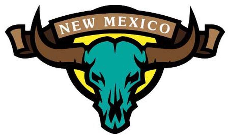 Signs 4 Fun STKNM61 NM Skull Turquoise Lg Sticker, Brown