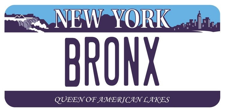 Signs 4 Fun STKNY21 NY Bronx Plate Large Sticker, Blue