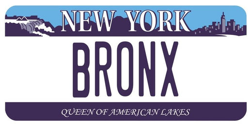 Signs 4 Fun STKNY21 NY Bronx Plate Large Sticker, Blue