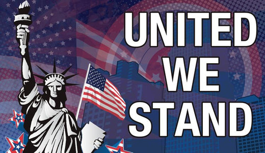 Signs 4 Fun STKP17 US United We Stand Sticker, Blue
