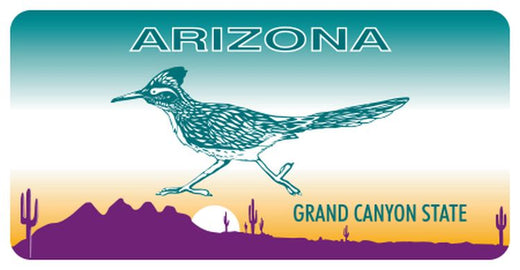 Signs 4 Fun STSAZ82 AZ Roadrunner Sm Sticker, Blue