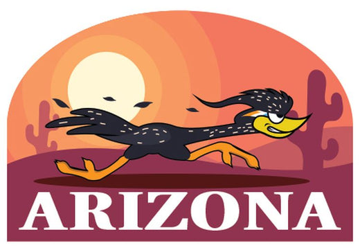 Signs 4 Fun STSAZ95 AZ Roadrunner Cartoon Sm Sticker, Black