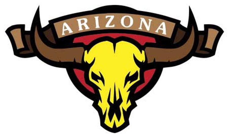 Signs 4 Fun STSAZ99 AZ Skull Yellow Sm Sticker, Brown