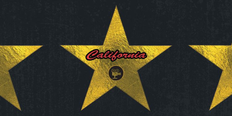 Signs 4 Fun STSCA04 CA Hollywood Star Sticker, Yellow