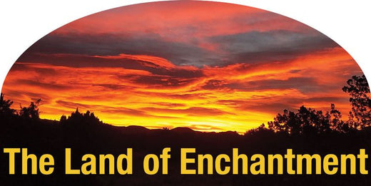 Signs 4 Fun STSNM06 NM Land of Enchantment Sm. Sticker, Orange