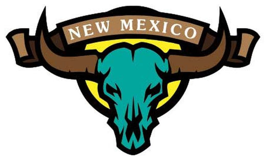 Signs 4 Fun STSNM61 NM Skull Turquoise Sm Sticker, Brown