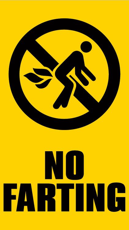 Signs 4 Fun STSU01 No Farting Sticker, Yellow
